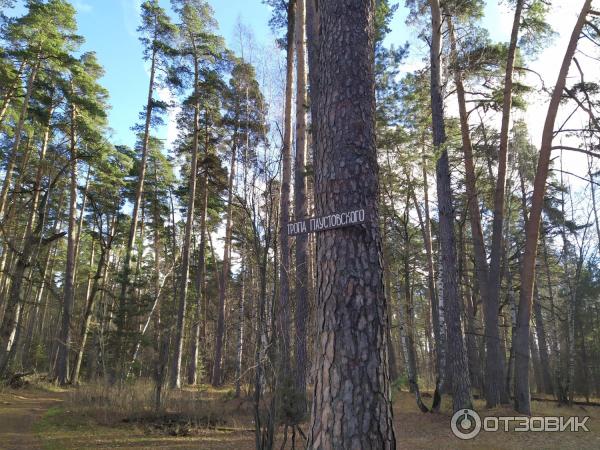 Экологическая Тропа Паустовского фото