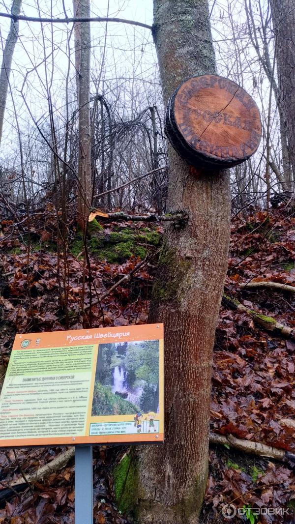 мордовский заповедник экотропа. школьная тропа. поселок сиверский экотропа. экскурсия "экологическая тропа" астрахань. экотропа в школе.