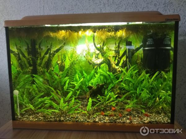 аквариумы аква плюс отзывы