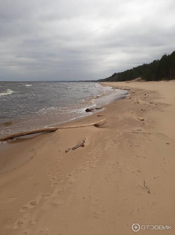 Пляжи Рижского залива (Латвия) фото