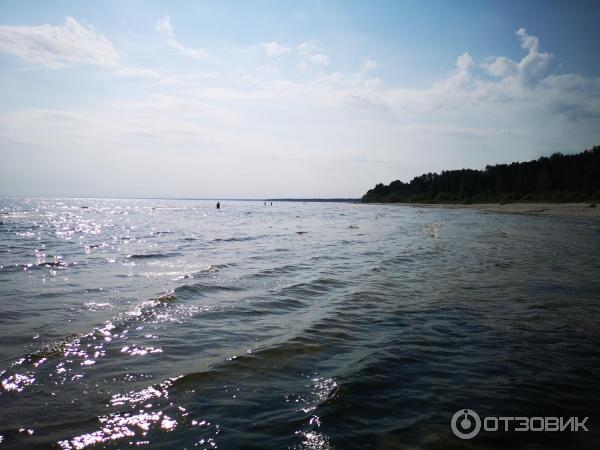 Пляжи Рижского залива (Латвия) фото