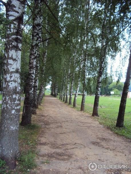 Зубцовский парк (Россия, Зубцов) фото
