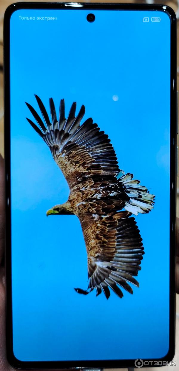 Смартфон Xiaomi 11T фото