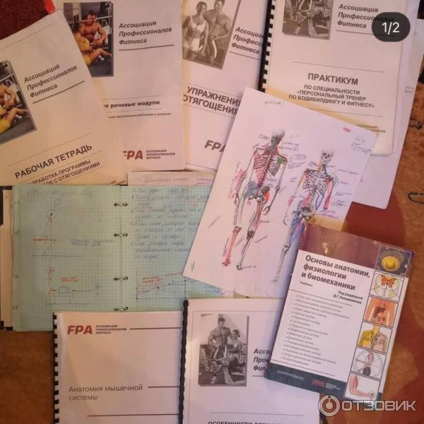 Ассоциация профессионалов фитнеса fpa москва