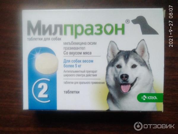 Милпразон отзывы. КРКА Милпразон таблетки для собак более 5 кг. Милпразон для собак щенков 10 кг. Милпразон для собак более 5 кг. Милпразон для собак весом более 5 кг