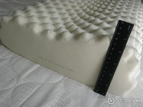 Отзыв о Подушка латексная LIEN'A | Лучшая подружка - это мягкая подушка.