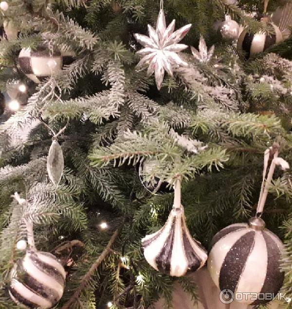 Отзыв о Эрмитажный театр (Россия, Санкт-Петербург) | Прекрасные ...