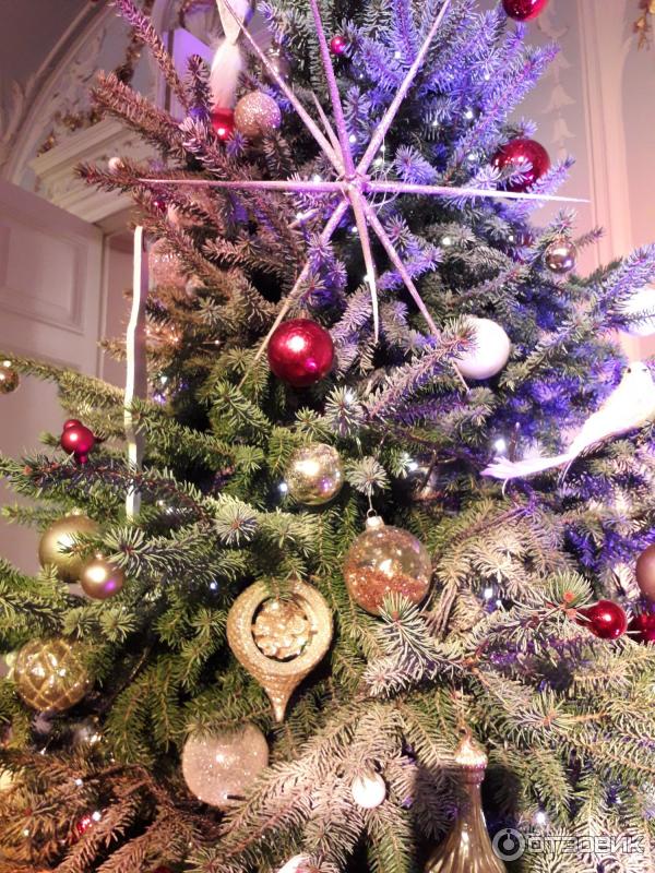 Отзыв о Эрмитажный театр (Россия, Санкт-Петербург) | Прекрасные ...