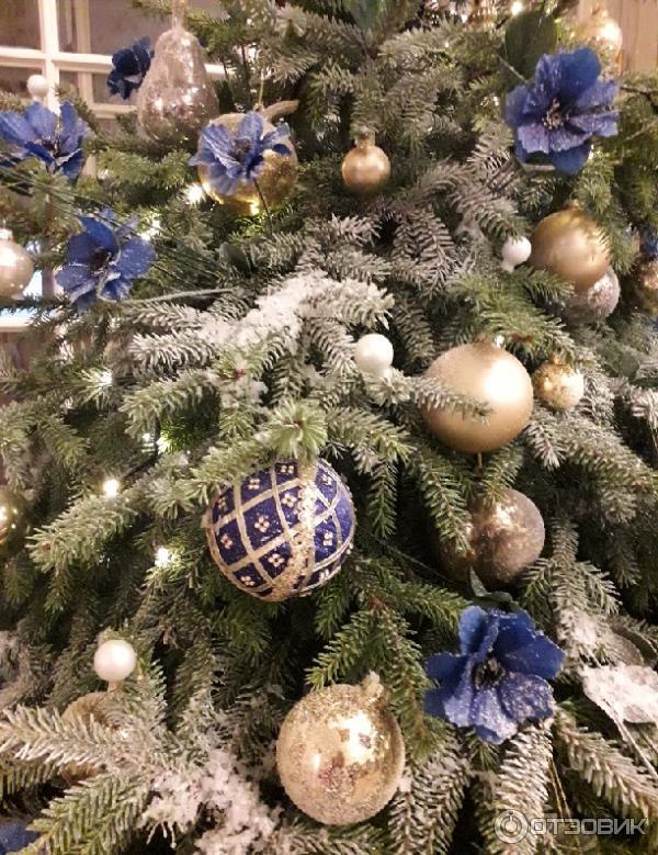 Отзыв о Эрмитажный театр (Россия, Санкт-Петербург) | Прекрасные ...