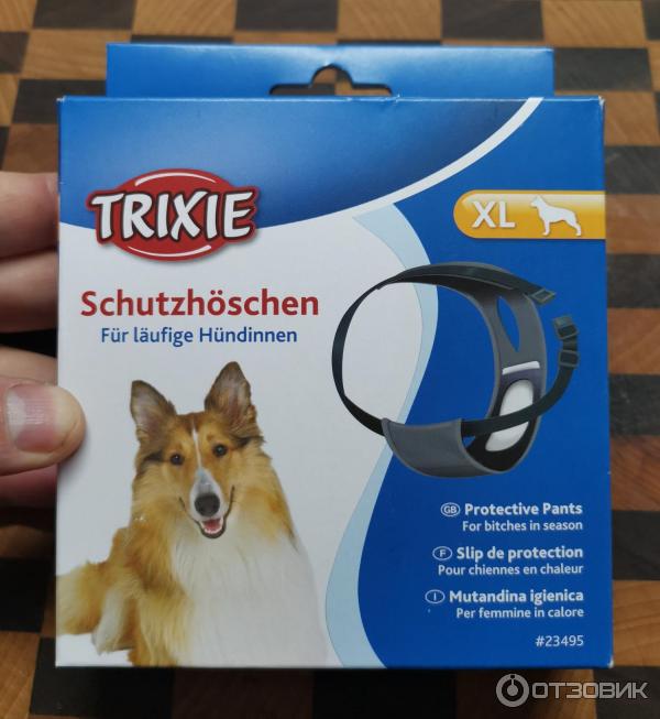 Отзыв о Трусы для собак Trixie | Не самые удачные стринги, для вашей  девочки