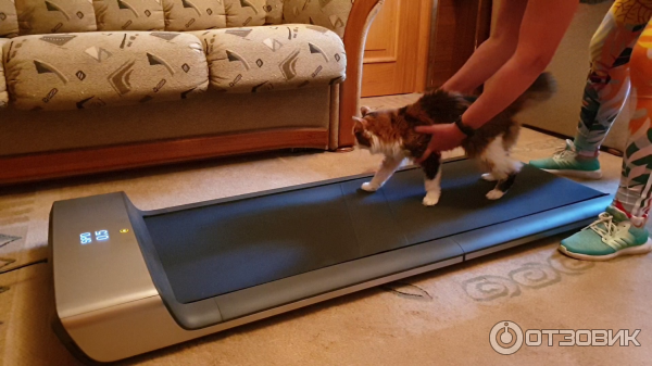 Беговая дорожка Xiaomi Walking Pad