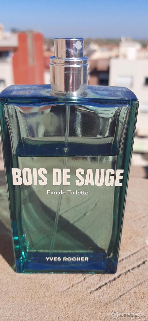 ив роше туалетная вода мужская nature. Yves rocher мужской парфюм nature. бойс де сауж ив роше туалетная вода. ив роше натюрель мужская туалетная. ив роше туалетная вода гваяковое дерево.