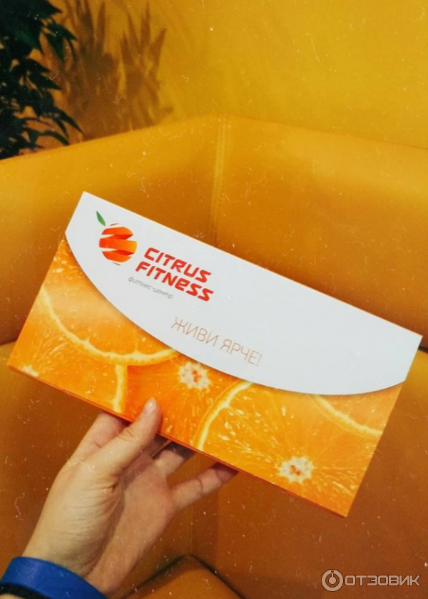 Цитрус фитнес челябинск абонемент