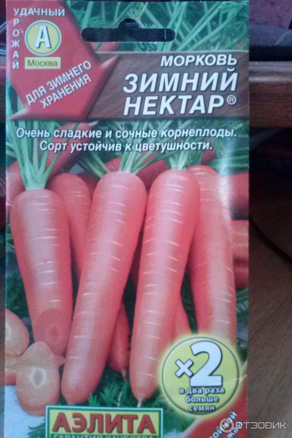Морковь нектар. Морковь зимний нектар. Морковь под зиму сорта для Подмосковья.