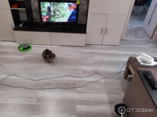 Пылесос Xiaomi Deerma DX700s фото