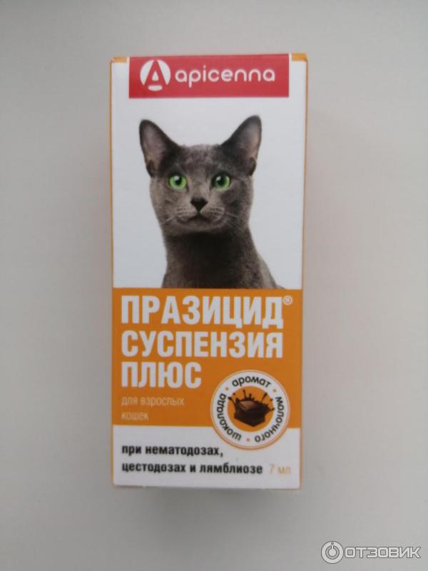 суспензия плюс для кошек
