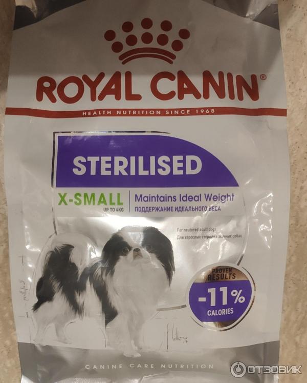 Royal canin для собак мелких пород как кормить