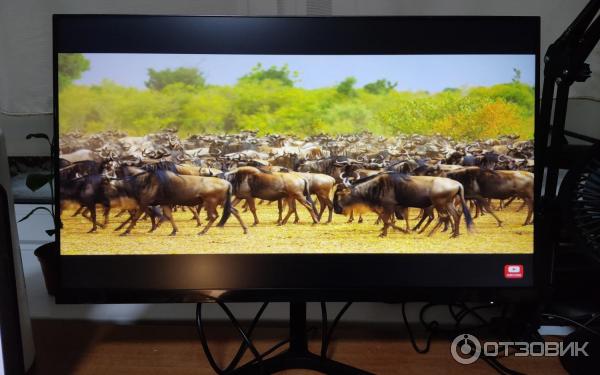Монитор Xiaomi Mi Desktop Monitor 1C 23.8 фото