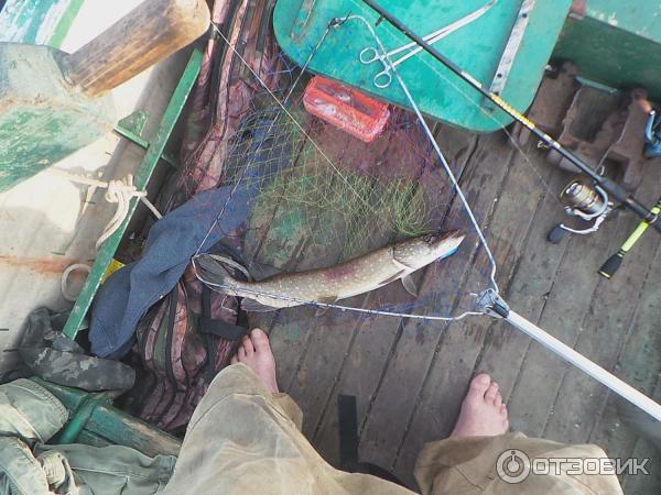 Воблер Taifun фото