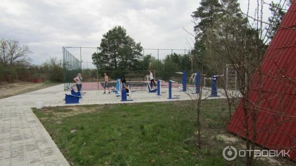 Погода медведица волгоградской обл