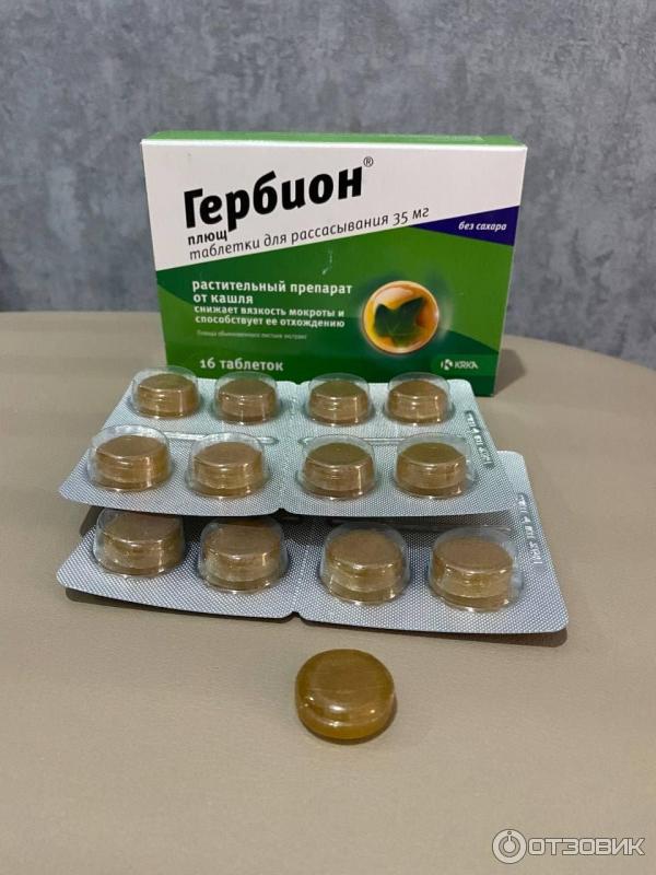 гербион плющ таблетки для рассасывания отзывы. д/рассасывания крка, д. гербион 35 мг. гербион таблетки для рассасывания. д.