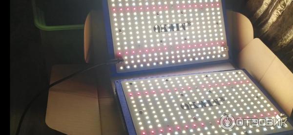 Светильник для растений QKWIN Quantum Board 240w фото