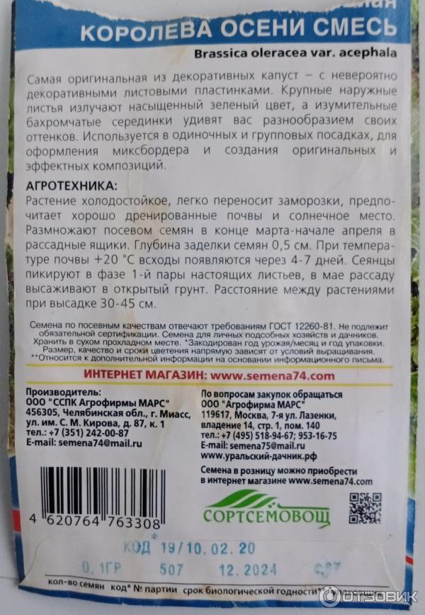 Отзыв о Семена "Уральский Дачник" | Выносливая, красивая брассика!)