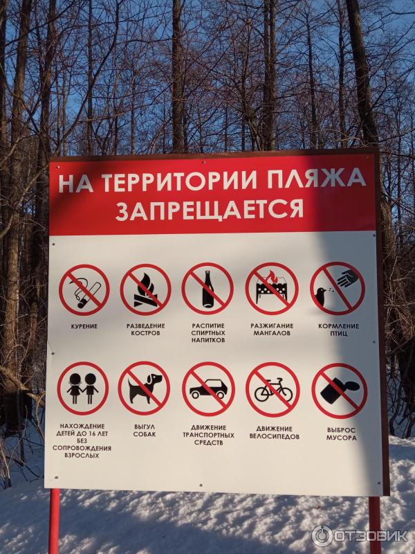 Отзыв о Пляж "Ласковый" (Россия, Санкт-Петербург) | Зимняя версия.