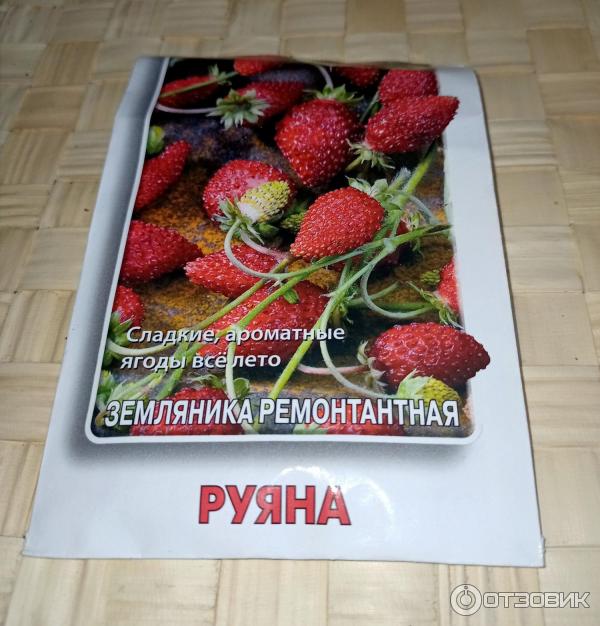 Отзыв о Семена земляники Поиск "Руяна" | При минимуме затрат,ягоды с ...