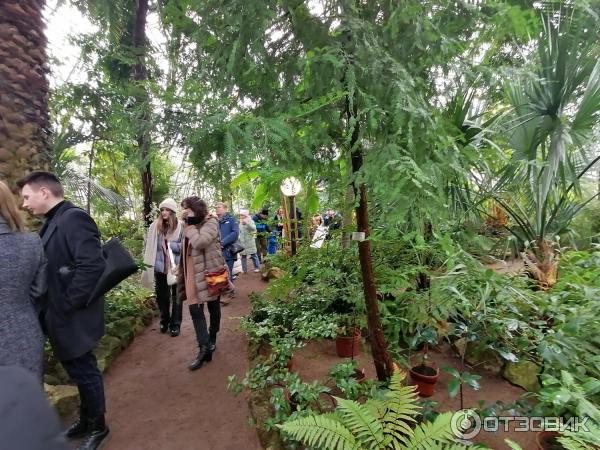 выставка пионов в ботаническом саду 2023. оттепель чувств в ботаническом саду. ботанический сад спб выставка сирени. ботанический сад санкт петербург оттепель чувств. экспозиция сиреневая терапия в ботаническом саду.