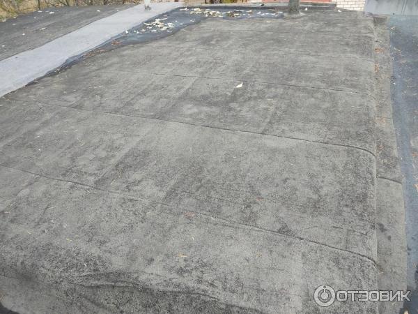 Спустя 5 лет