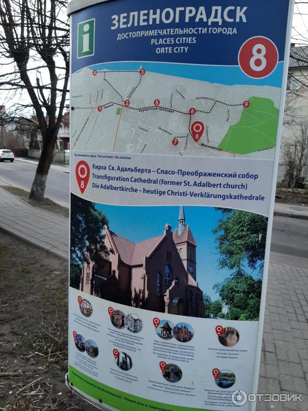 Экскурсии из зеленоградска