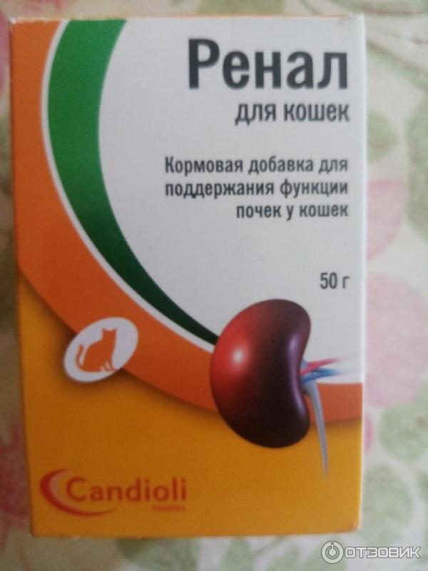 Отзыв о Комплексная кормовая добавка для кошек Candioli Ренал | Надеюсь ...