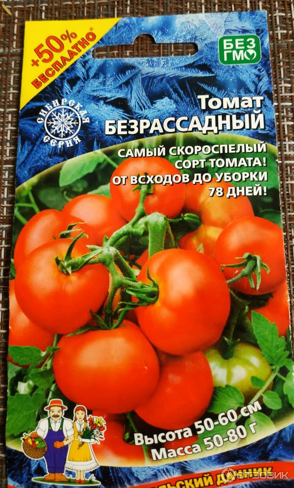 Томаты уральский. Семена помидоров Уральский Дачник. Томат Уральский Дачник. Томат безрассадный. Томат Златоуст Уральский Дачник.
