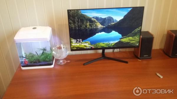 Монитор Xiaomi Mi 1C 23.8 фото