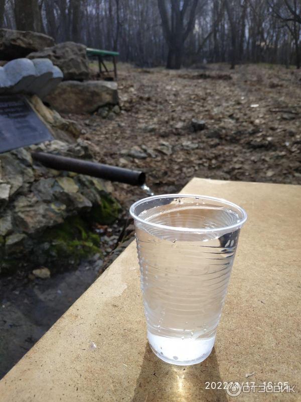 Родниковая вода в стаканчике