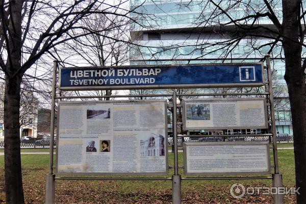 Цветной бульвар (Россия, Москва) фото