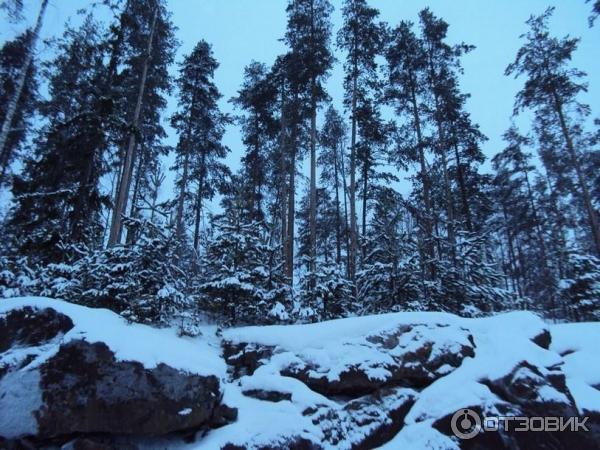 Экскурсию в Долину Зайцев (Россия, Петрозаводск) фото