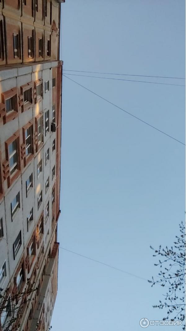 Смартфон Xiaomi Mi 11 Lite 5G фото