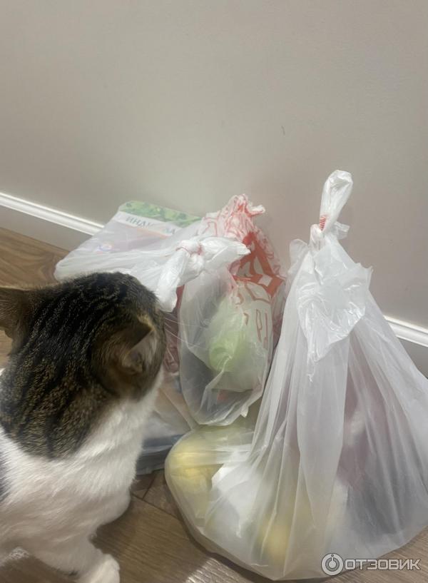 доставка из магнита на дом волжский