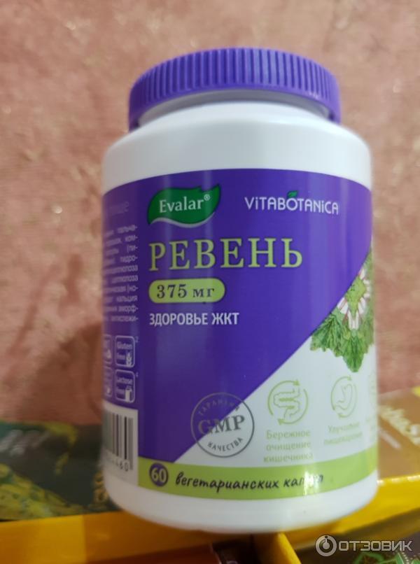 Чаи ф. Эвалар панкреатин панкреатин эвалар таблетки. Ревень тангутский сырье. Ревень волнистый. Ревень обыкновенный ред шампэйн.