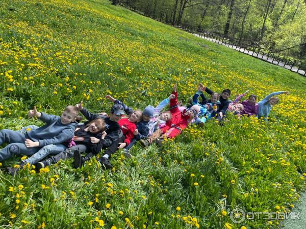 Парки музеи усадьбы олимпиада 2020 2021 когда начнется