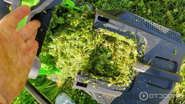 Отзыв о Электрическая газонокосилка Greenworks GLM1232 | "Женская ...