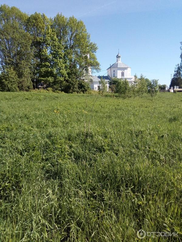 Zabíječ trávy Fotografie Augusta Agrokillera