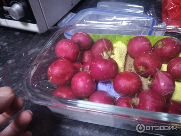 Открытый контейнер в магните с косметикой для рабочих обедов самый идеальный вариант