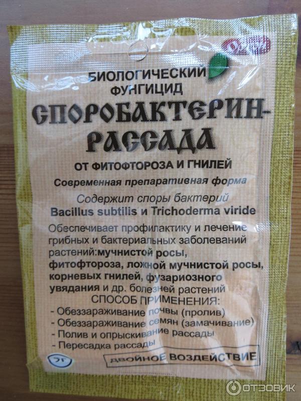 Отзыв о Фунгицид Ортон "Споробактерин-рассада" | Результат заметила ...