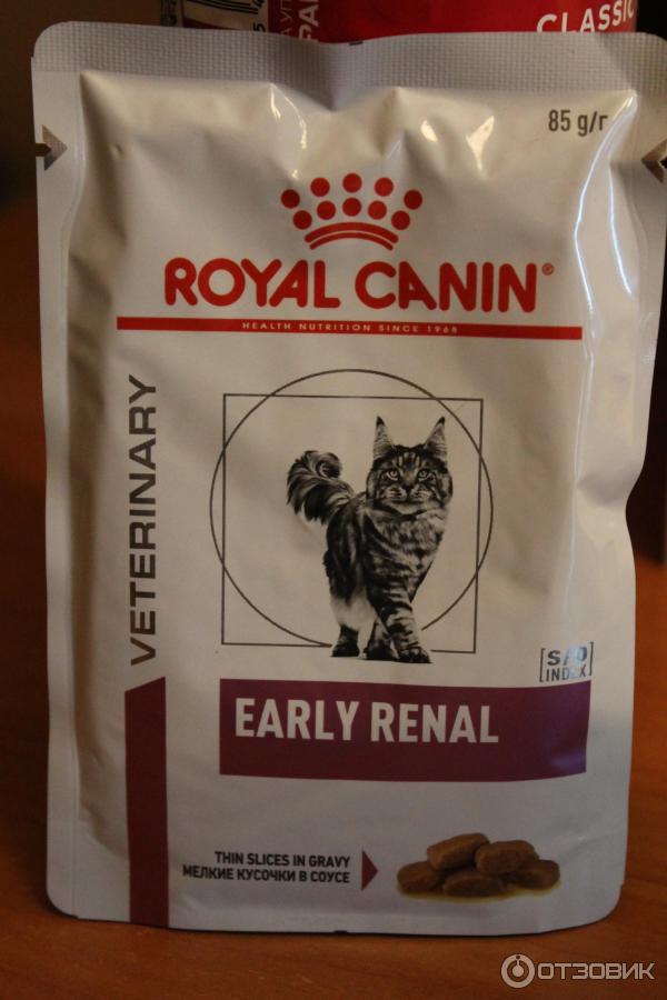 Early renal royal – Telegraph