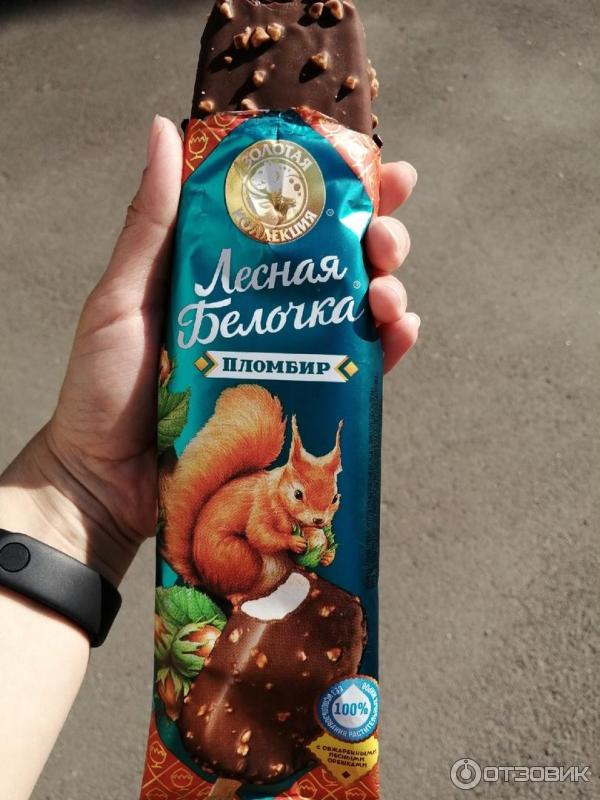 мороженое белочка. эскимо мороженое шин лайн. «лесная белочка» эскимо. мороженое белочка шин лайн. мороженое лесная белочка.