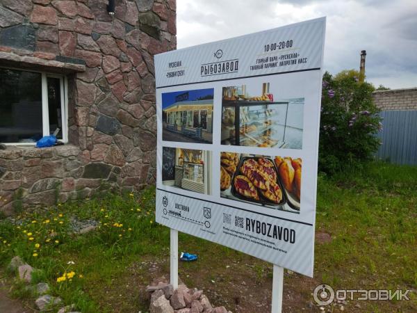 рыбозавод сортавала. приемка рыбы и рыбных изделий. скумбрия копченая вид сбоку. усть камчатский рыбозавод. рыбный завод.