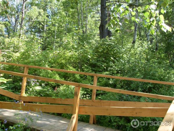 Дендрологический парк (Россия, Листвянка) фото